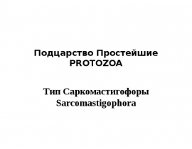 Подцарство Простейшие PROTOZOA Тип Саркомастигофоры Sarcomastigophora