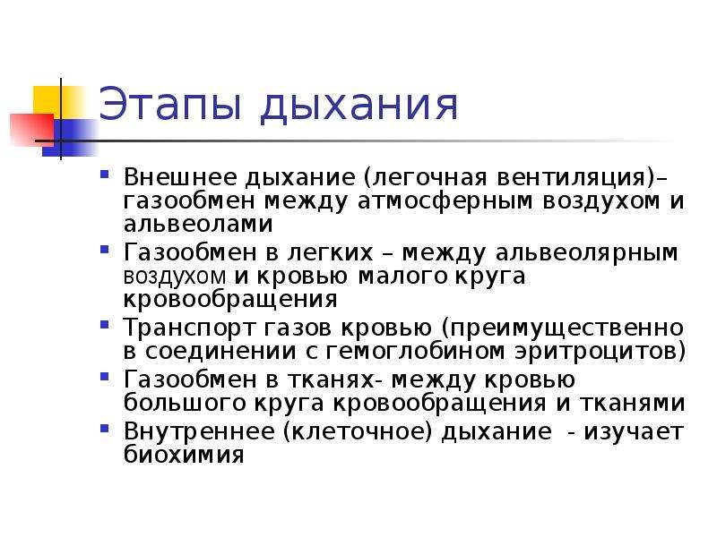 Фазы дыхания. Легочная вентиляция. Этапы легочного дыхания. Легочная и альвеолярная вентиляция. Легочная фаза дыхания.