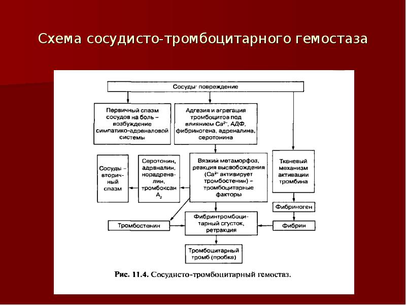 Первичный гемостаз схема