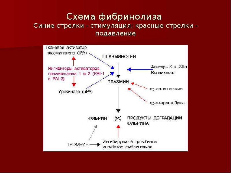 Факторы тканей