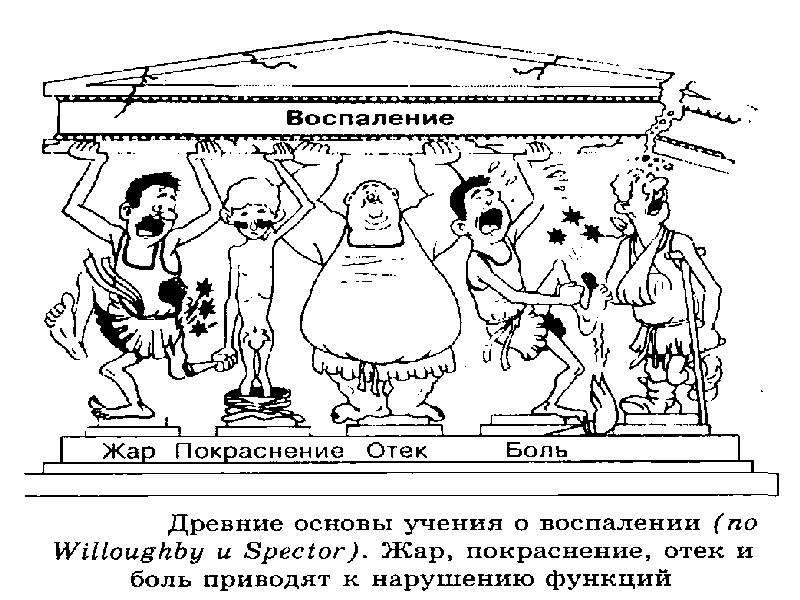 Клинические признаки воспаления местные и общие схема