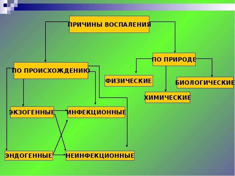 Схема причины воспаления