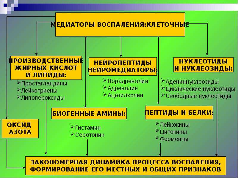 К медиаторам воспаления относятся