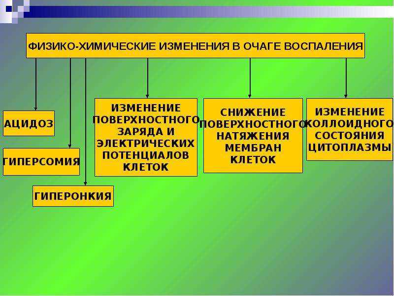 Химические изменения. Физико-химические изменения в очаге воспаления. Биохимические и физико-химические изменения в очаге воспаления.. Воспаление физико химические изменения. Физико химические признаки воспаления.