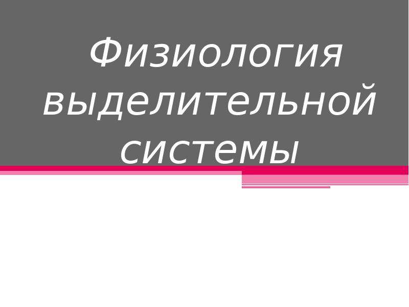 Реферат: Выделительная система человека. Реабсорбция