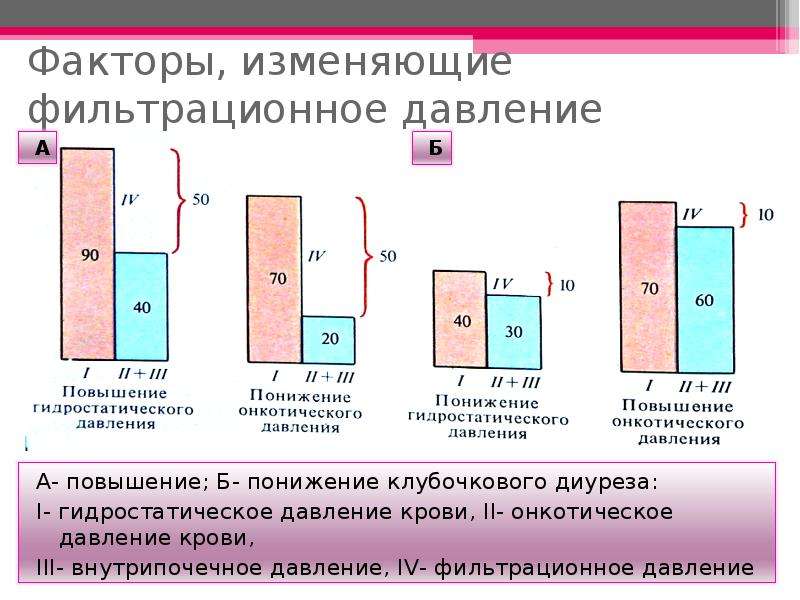 Факторы изменяющие. Гидростатическое и онкотическое давление. Гидростатическое давление это физиология. Повышение онкотического давления. Повышение гидростатического давления крови.