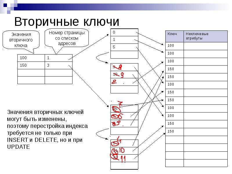 Первичный и внешний ключ в базе данных. Первичный и вторичный ключ в базе данных. Вторичный ключ БД.