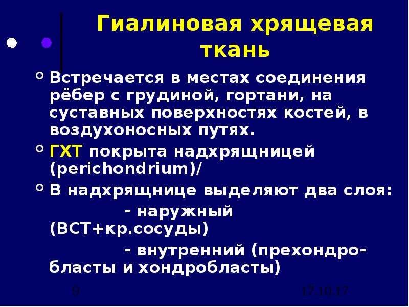 Фиброзно хрящевая оболочка имеется в стенке всех воздухоносных путей кроме