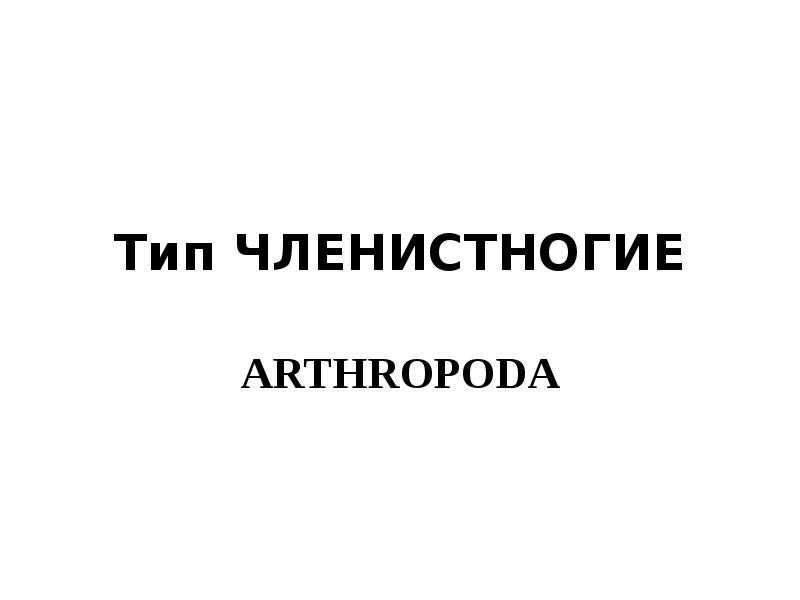Тип ЧЛЕНИСТНОГИЕ ARTHROPODA