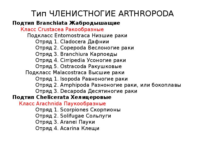 Тип ЧЛЕНИСТНОГИЕ ARTHROPODA Подтип Branchiata Жабродышащие Класс Crustacea Ракообразные Подкласс Ent