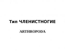 Тип ЧЛЕНИСТНОГИЕ ARTHROPODA