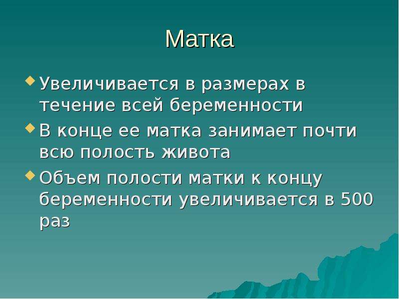 Матка поднялась