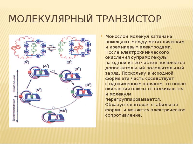 Молекулярный компьютер принцип работы