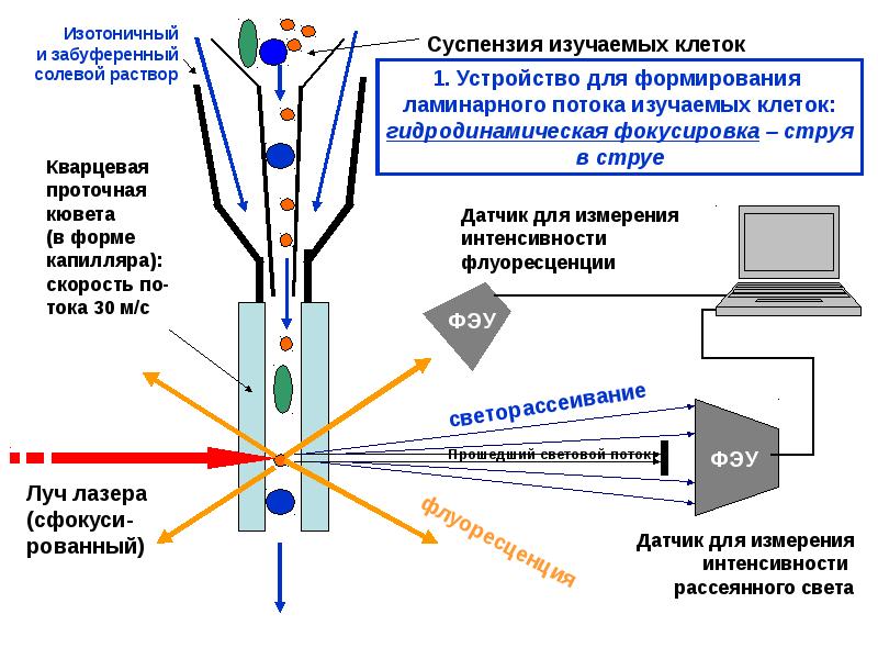 Сущность метода проточного калориметрирования схема экспериментальной установки