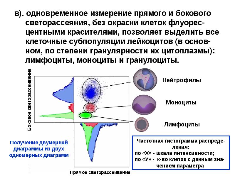 Схема подсчета лимфоцитов разных популяций с помощью проточного цитофлюориметра иммунология