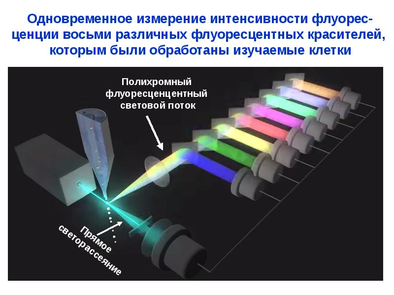 Называют обладают флюоресцируют. Лазерная Проточная цитометрия. Принцип проточной цитофлуориметрии. Проточная цитофлюорометрия. Метод проточной лазерной цитофлуориметрии.