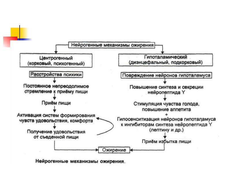 Схема липидного обмена