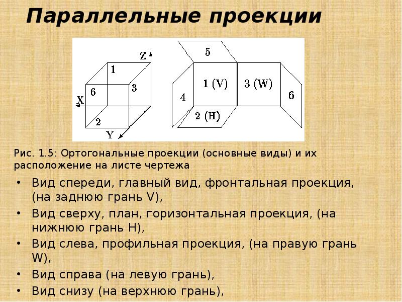 Горизонтальные грани. Горизонтальная проекция вид сверху. Виды параллельных проекций. Проецируется главный вид. Фронтальный вид проекции.