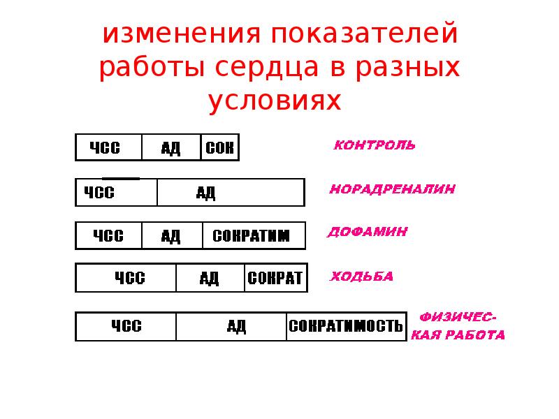 Показатели сердца. Функциональные показатели работы сердца. График работы сердца. Условия нормальной работы сердца. Работа сердца в разных условиях.