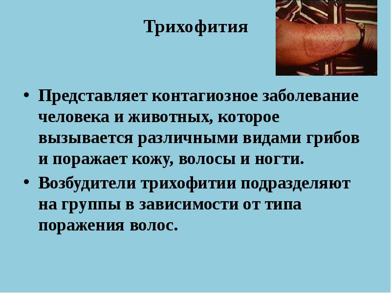 При регистрации случаев заболевания контагиозными. Заболевания кожи презентация. Грибковые заболевания кожи презентация. Грибковые заболевания животных и человека. Презентация на тему грибковые заболевания кожи.