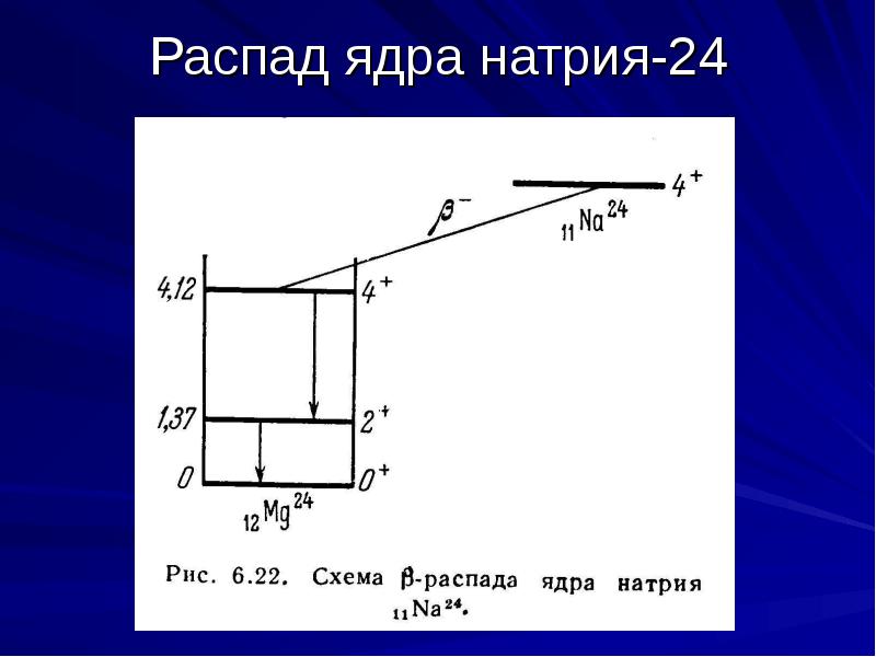 Образец радиоактивного натрия 24 находится в закрытом сосуде ядра натрия испытывают бета распад