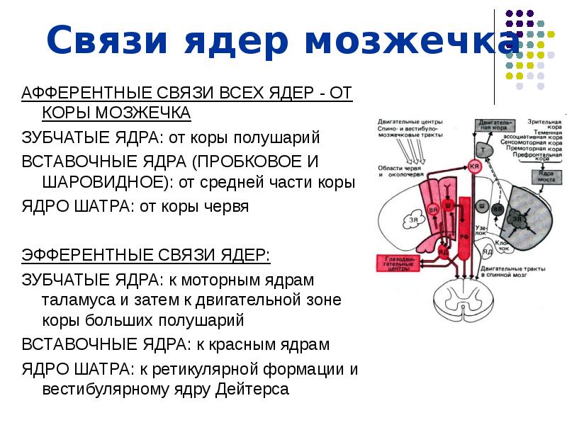 Соединение ядра