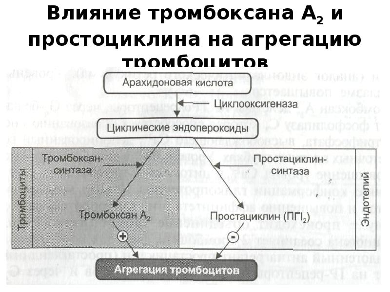 Свертывание крови презентация