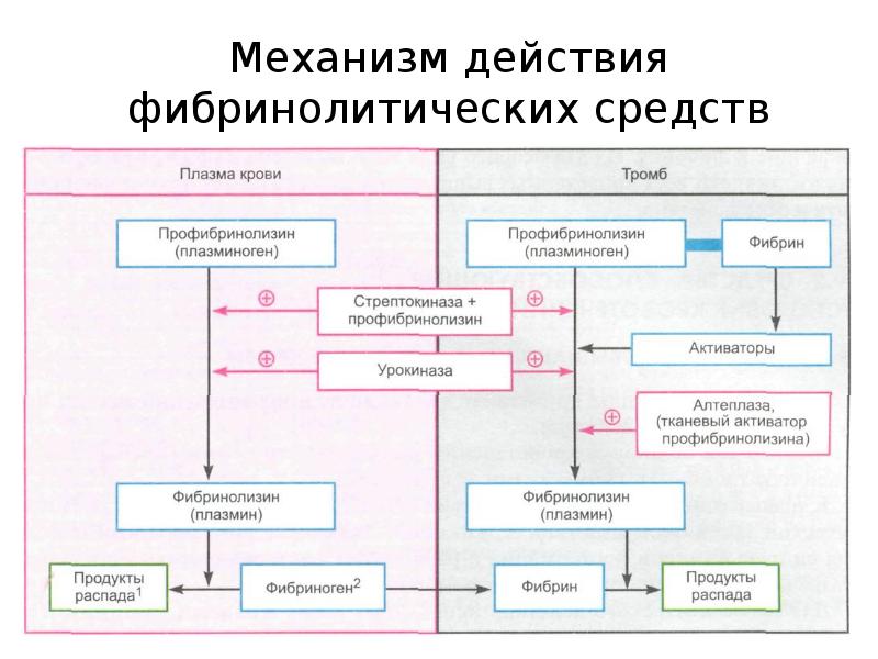 Нарисовать кластер механизма действия препарата кордиамина