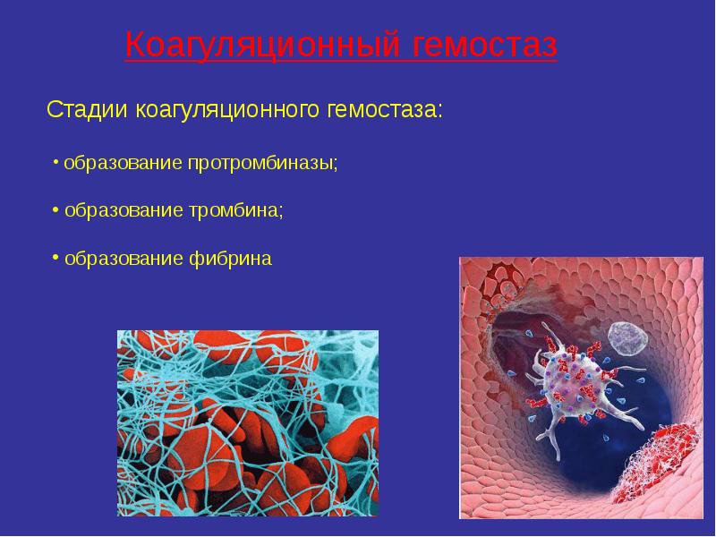 Гемостаз картинки для презентации