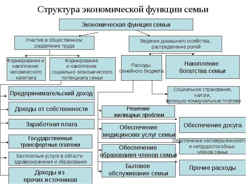 Хозяйственная функция семьи. Хозяйственно-экономическая и экономическая функция семьи. Экономические функции семби. Экономическая функция семьи. Структура экономической функции семьи.