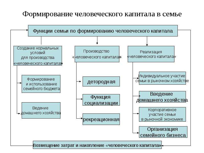 Развитие человеческого капитала. Формирование человеческого капитала. Механизм создания человеческого капитала. Формирование и накопление человеческого капитала. Методы формирования человеческого капитала.