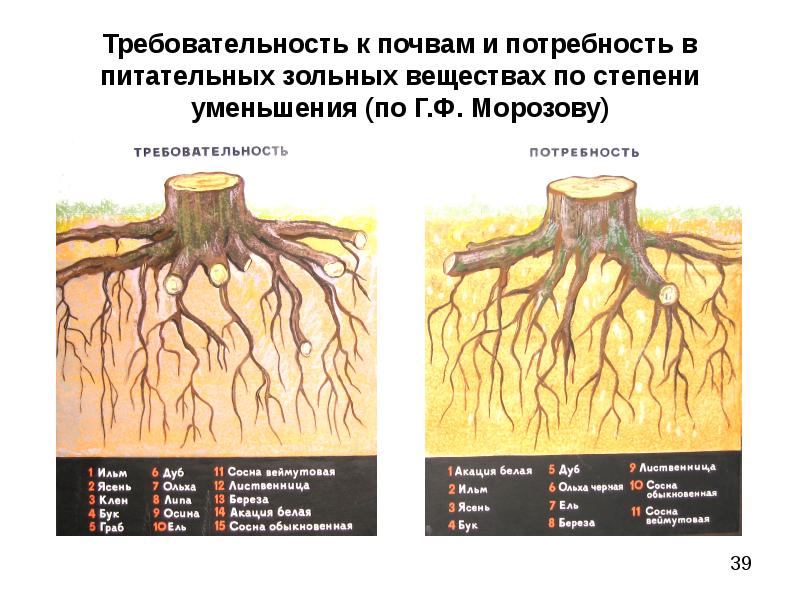 Питательные вещества в почве. Требовательность к почвам. Почва потребностей. Соединения в почве.