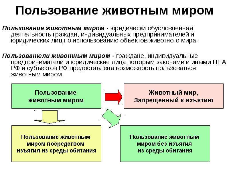 Право пол. Право пользования животным миром. Виды права пользования животным миром. Пользование животным миром понятие виды способы. Право пользования животным миром понятие.