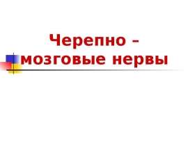 Черепно – мозговые нервы