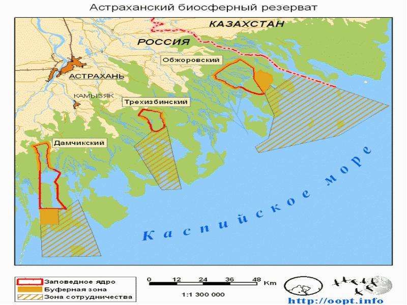 Астраханский заповедник проект