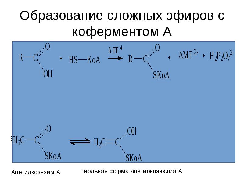 Аминокислоты образуют сложные эфиры. Альдольная конденсация сложных эфиры. Бутаналь альдольная конденсация. Образование сложных эфиров. Реакции конденсации карбонильных соединений.