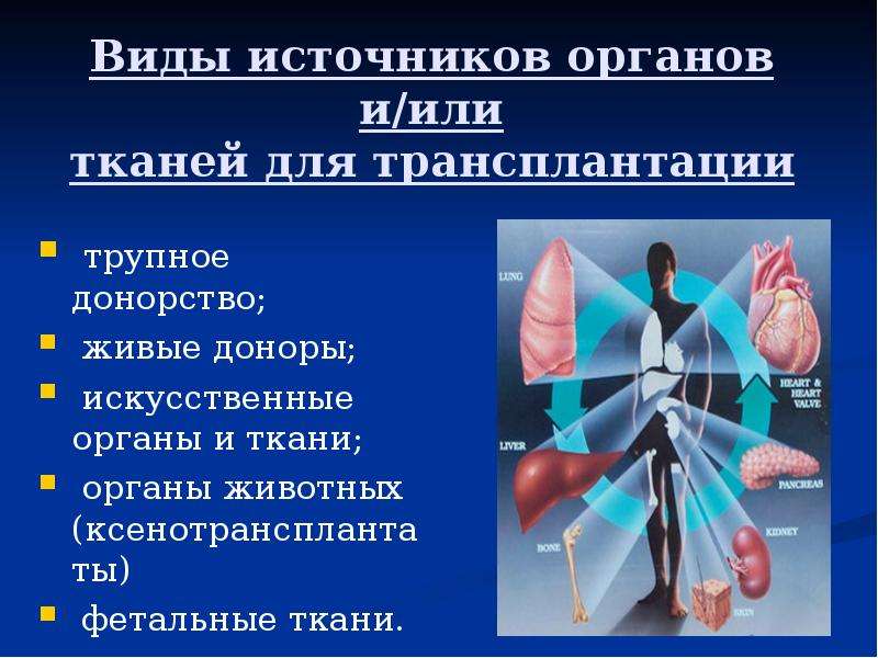 Искусственные органы трансплантология