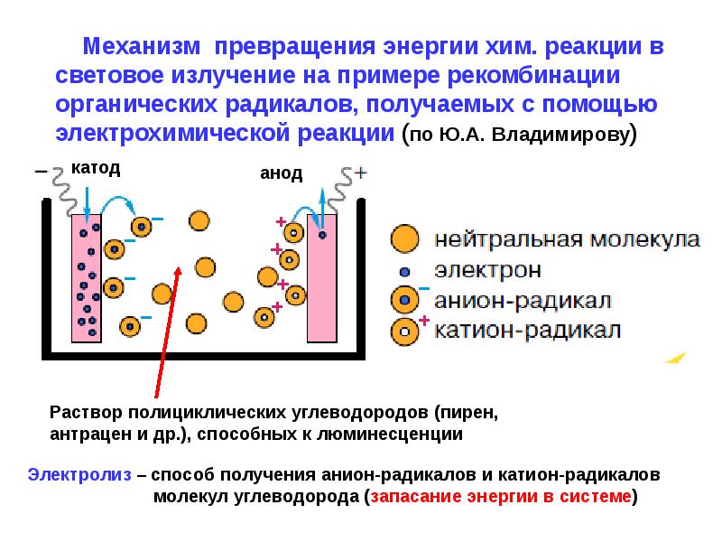 Хемилюминесценция презентация по физике