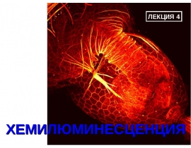 Хемилюминесценция