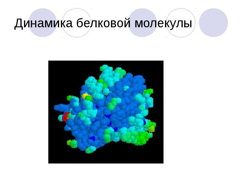 Проекты по биохимии 10 класс