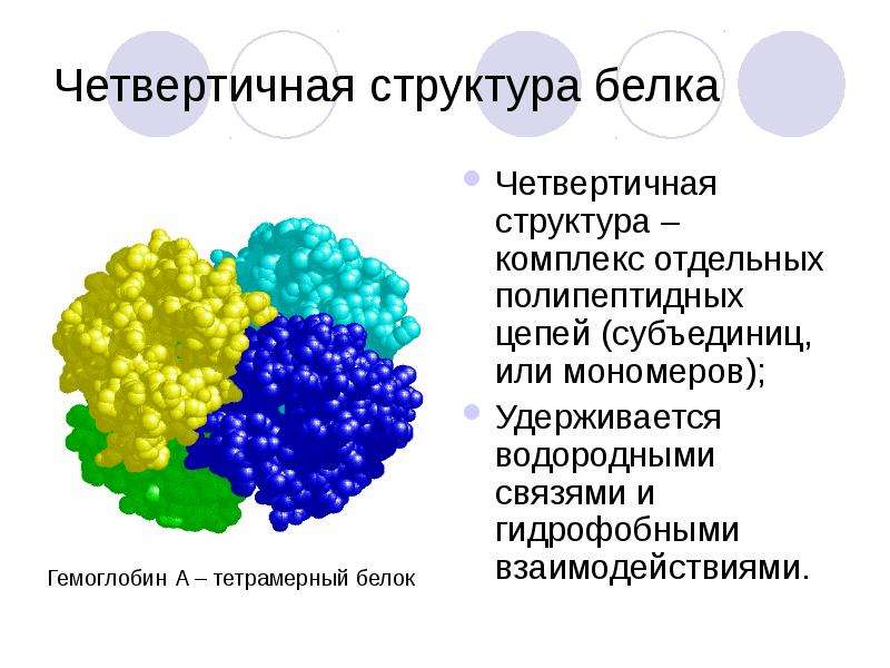 Презентации по биохимии