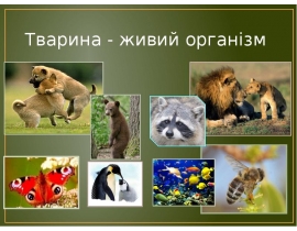 Тварина - живий організм