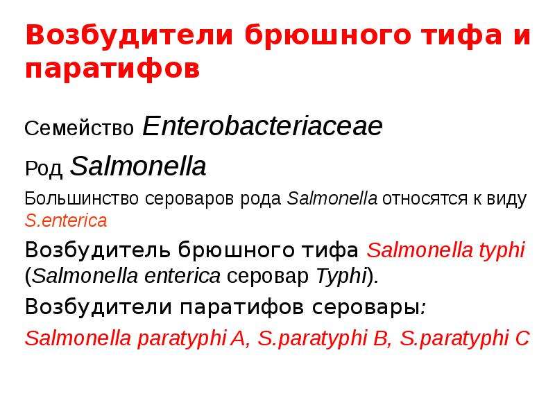 Реферат: Сальмонеллез - salmonellosis: этиология, эпидемиология, патогенез