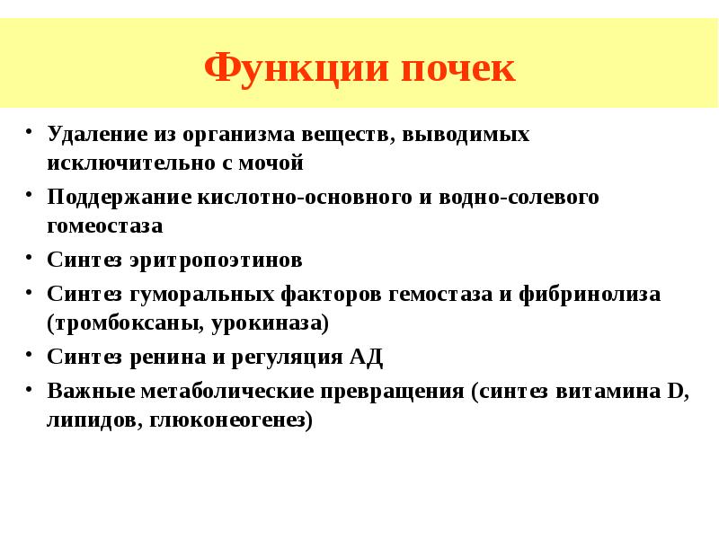 Функции почек