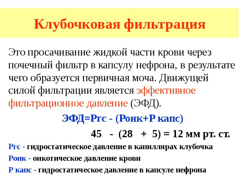 Клубочковая фильтрация 40