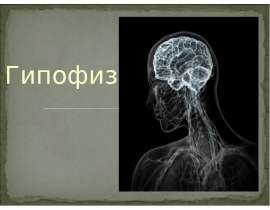 Гипофиз