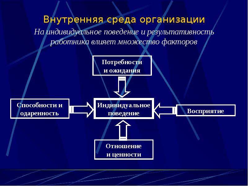 Внутренняя среда организации