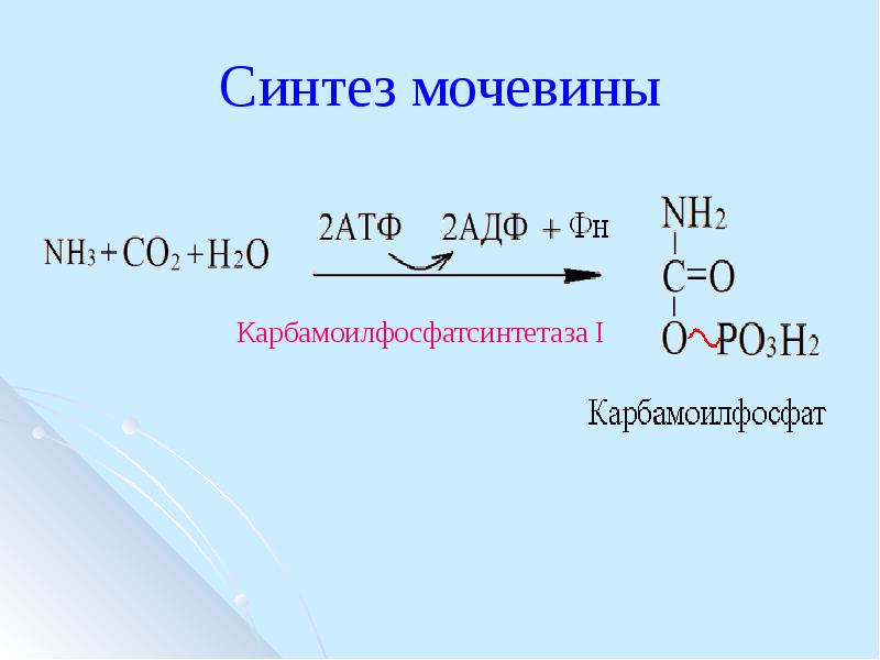 Схема синтеза мочевины