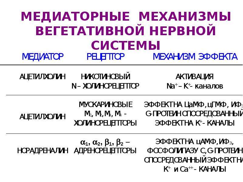 Регуляция вегетативных функций. Механизмы регуляции вегетативной нервной системы. Медиаторные системы таблица. Медиаторные механизмы. Тип медиаторной системы.