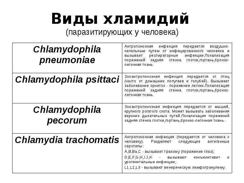 Урогенитальный хламидиоз презентация